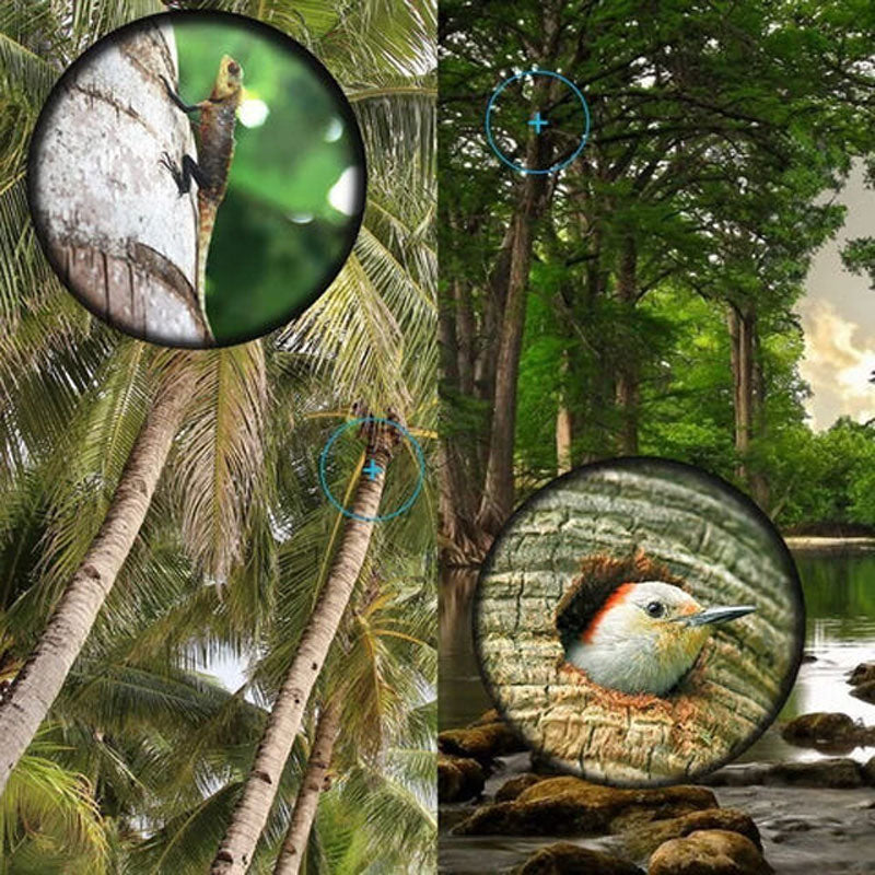 π 16x52 Monocular Telescope | High-Power Dual Focus Optical Zoom Scope π₯