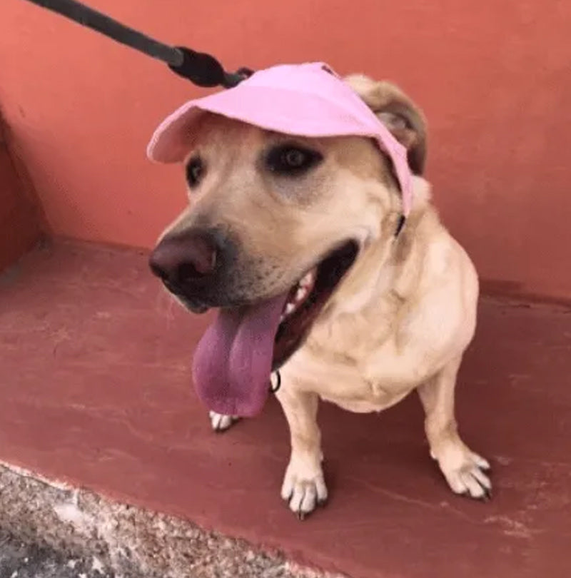 👍Last Day Promotion 50% OFF💥Outdoor Sun Protection Hood For Dogs
