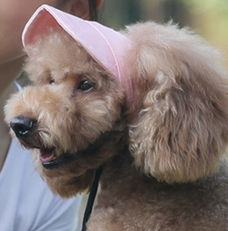 👍Last Day Promotion 50% OFF💥Outdoor Sun Protection Hood For Dogs