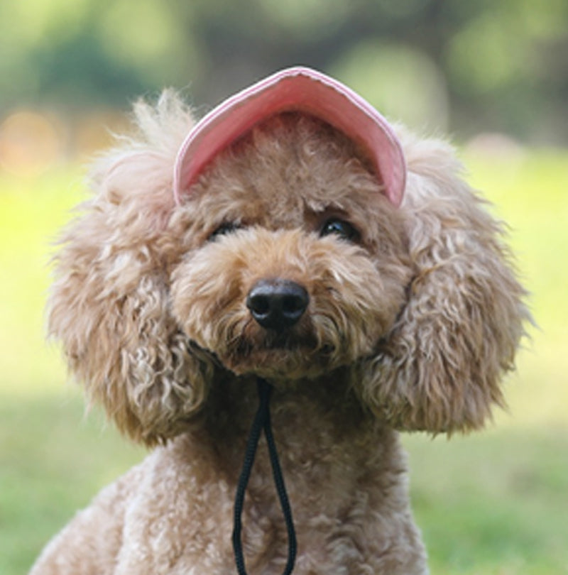 👍Last Day Promotion 50% OFF💥Outdoor Sun Protection Hood For Dogs