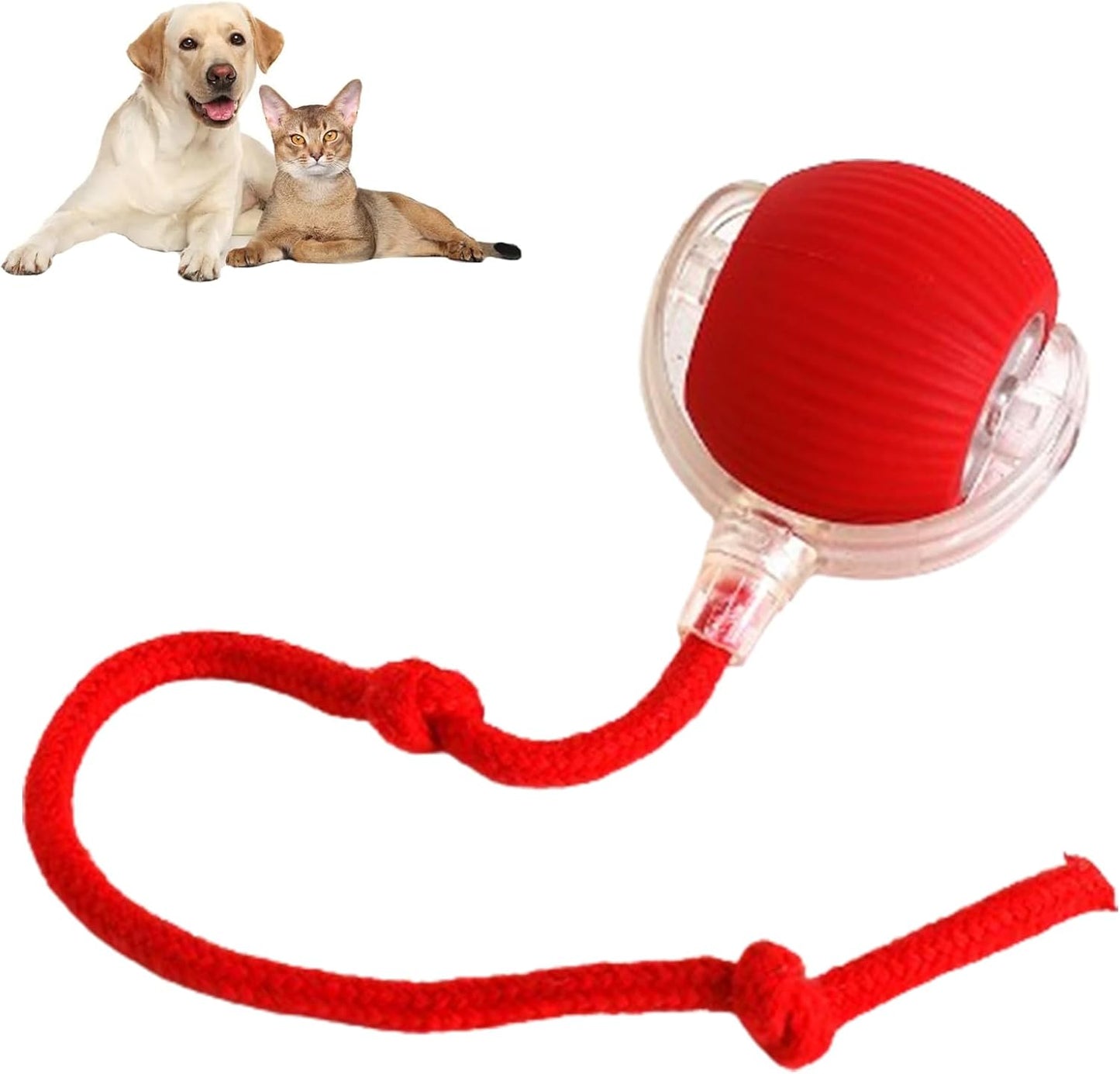 😻Smart Chasing Pet Toy Ball🐶