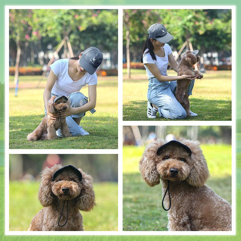 👍Last Day Promotion 50% OFF💥Outdoor Sun Protection Hood For Dogs