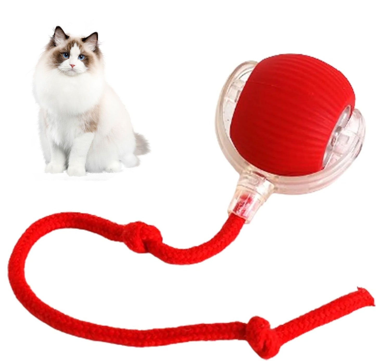 😻Smart Chasing Pet Toy Ball🐶