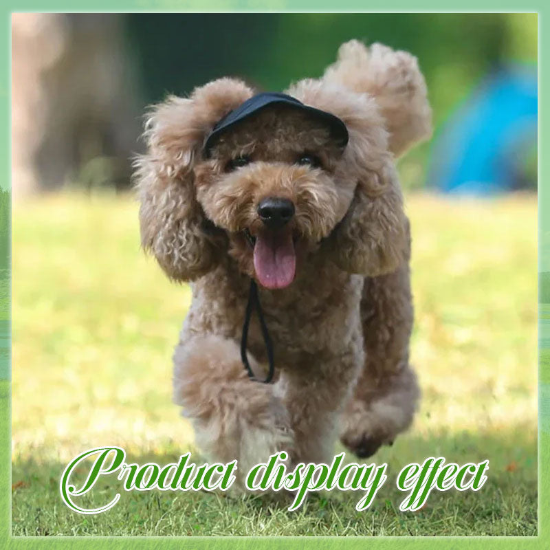 👍Last Day Promotion 50% OFF💥Outdoor Sun Protection Hood For Dogs