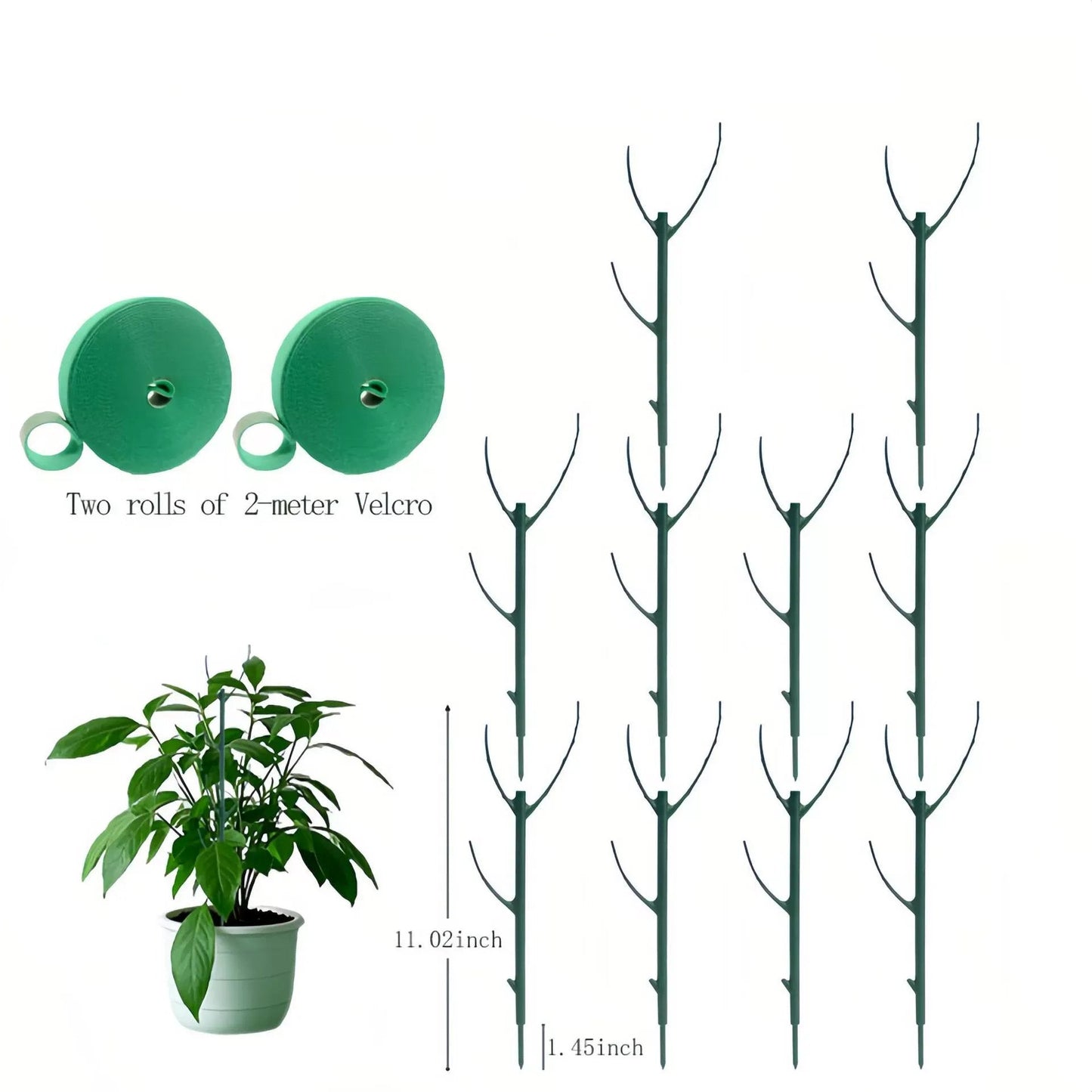๐๐๐ฟGardening Green Plant Support Frame