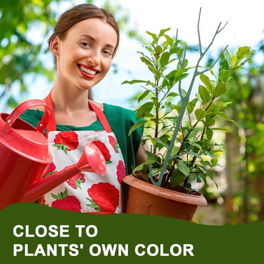 💕💖🌿Gardening Green Plant Support Frame