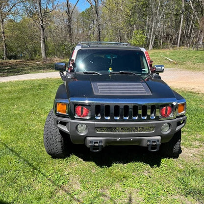 Beast Eyes Headlight Decals (1 Pair)