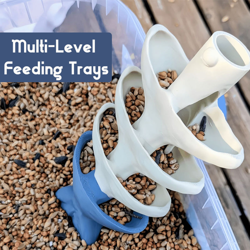 🐟🐦Creative Fish Skeleton Hanging Bird Feeder