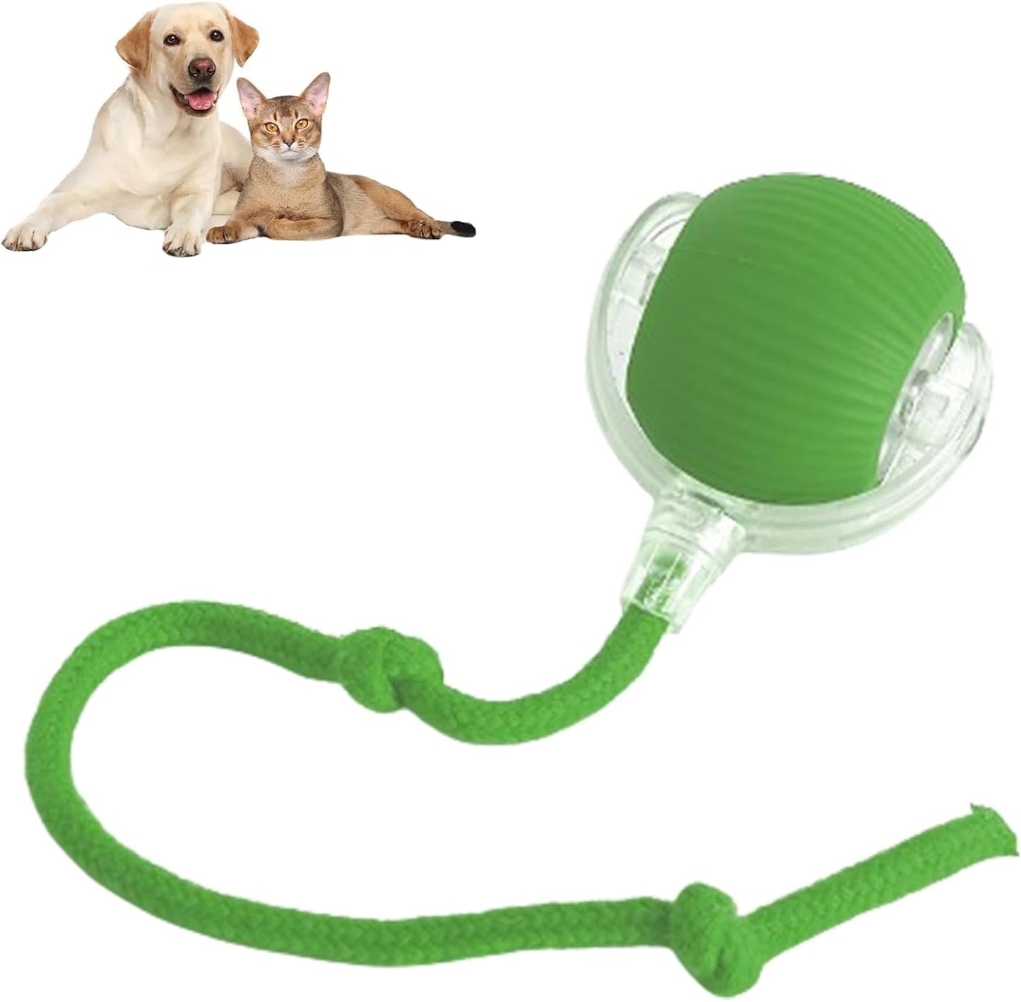 Smart Chasing Pet Toy Ball