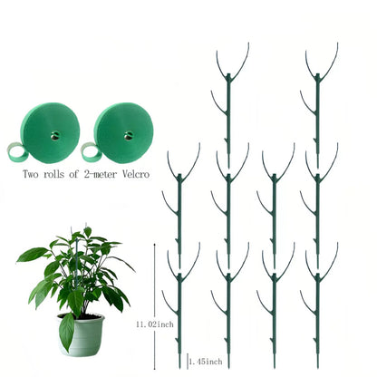 💕💖🌿Gardening Green Plant Support Frame