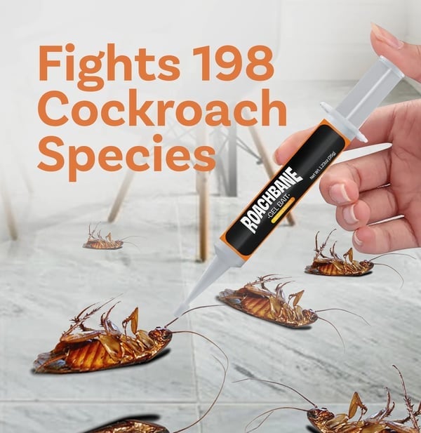 🔥Hot Sale 49% OFF🔥RoachBane Gel Bait (New Upgraded Formula)